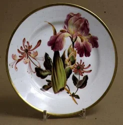 Derby Dessertteller dekoriert mit Iris und Geißblatt, ca. 1795